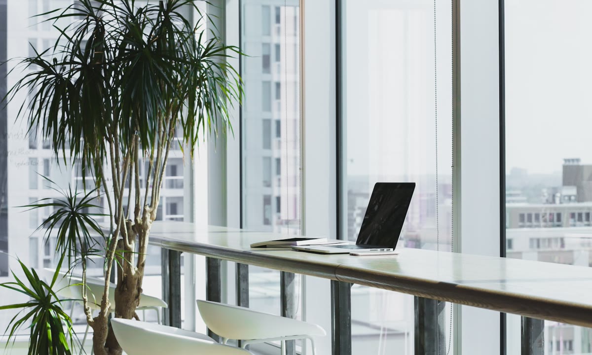 How to Make Meeting Notes Useful After the Call Ends